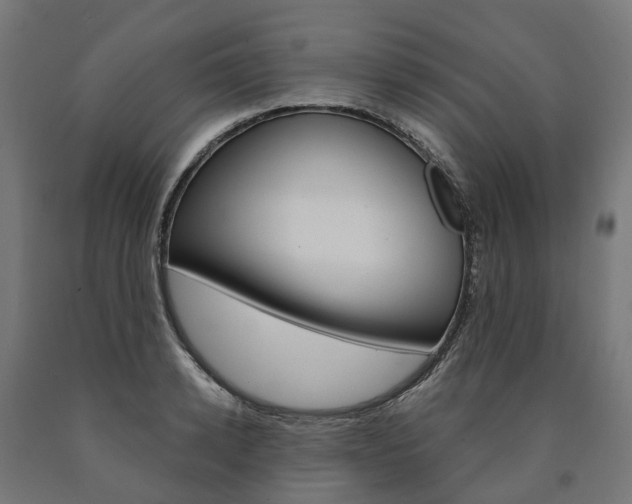 X0000091000942200708021222
