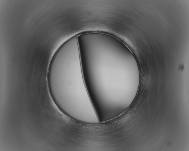 X0000091000943200708021222