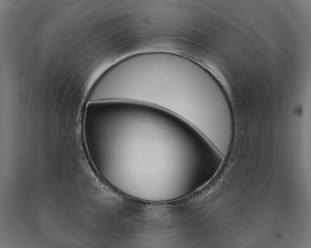 X0000091000944200708021222