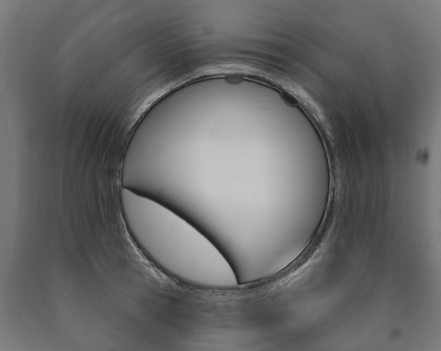 X0000091000945200708021222