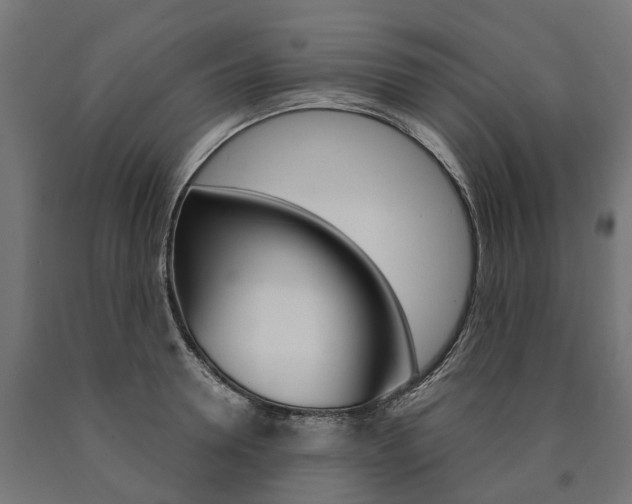X0000091000946200708021222