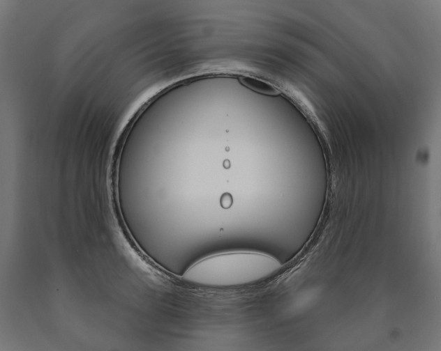 X0000091000947200708021222