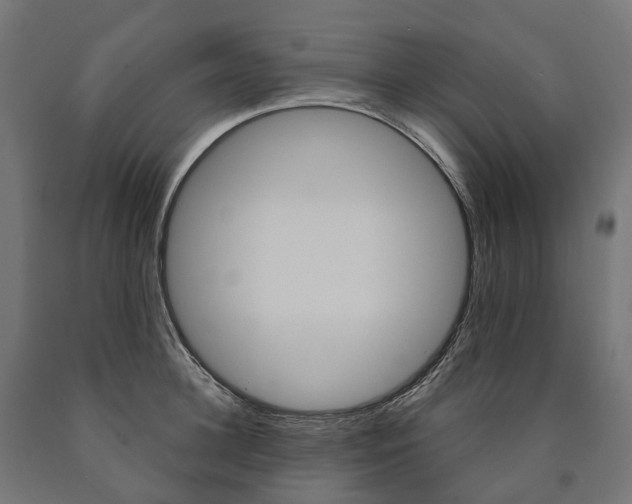 X0000091000948200708021222