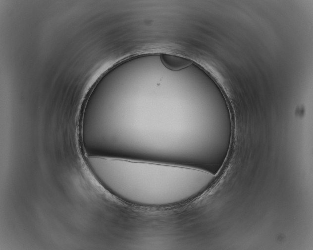 X0000091000949200708021222