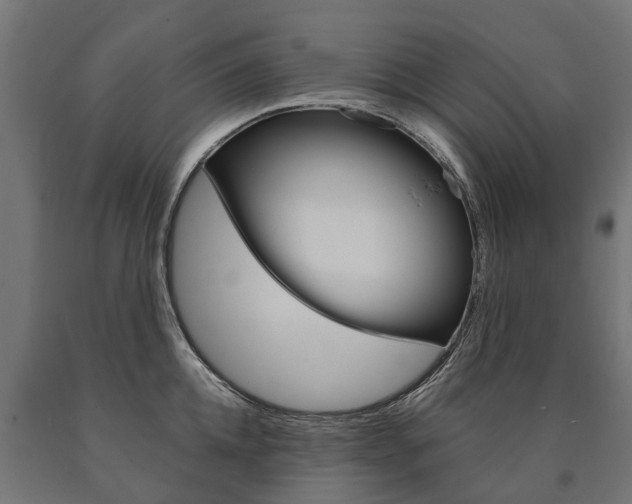 X0000091000952200708021222