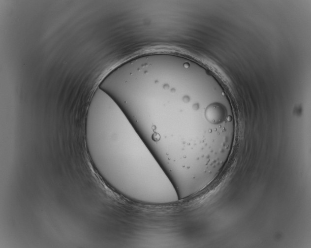 X0000091000953200708021222