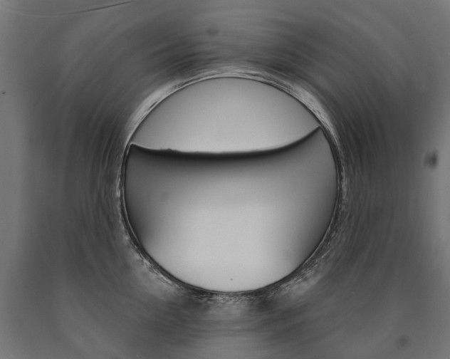 X0000091000954200708021222