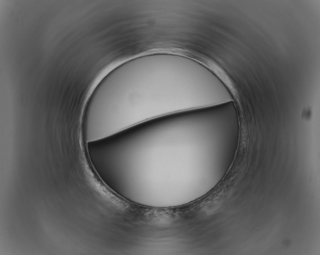 X0000091000955200708021222