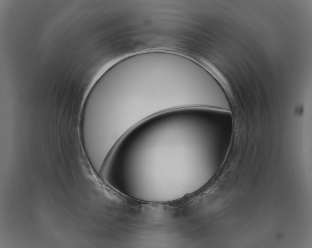X0000091000956200708021222