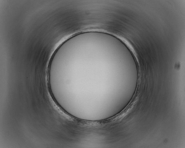 X0000091000957200708021222