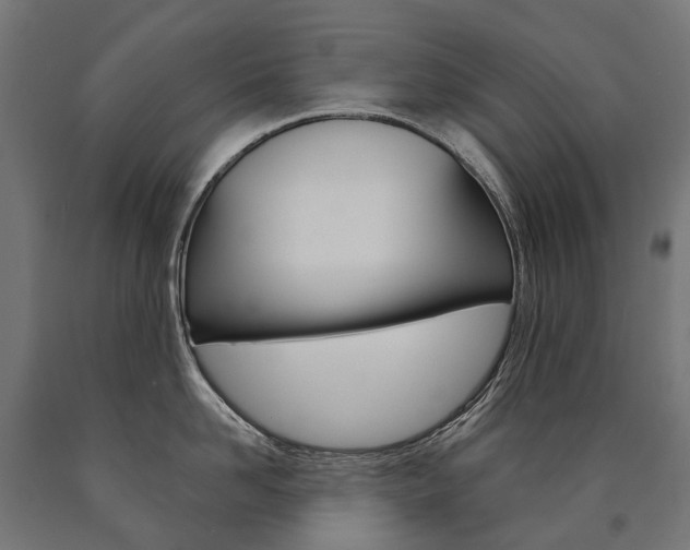 X0000091000958200708021222