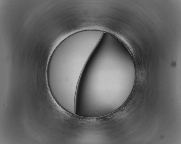X0000091000959200708021222