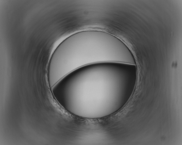 X0000091000960200708021222