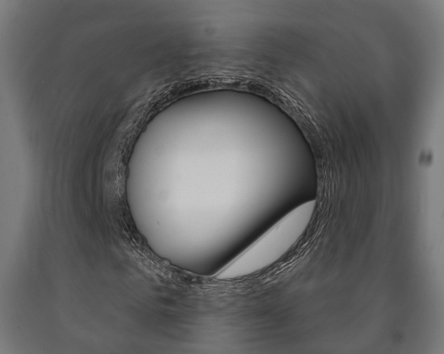 X0000091000961200708021221