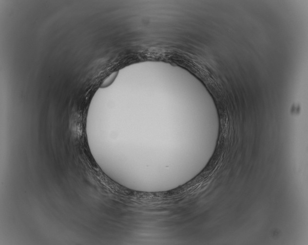 X0000091000962200708021221