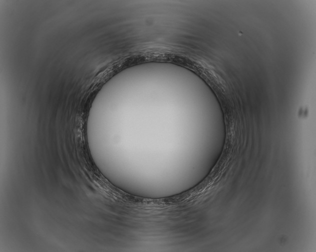 X0000091000964200708021221