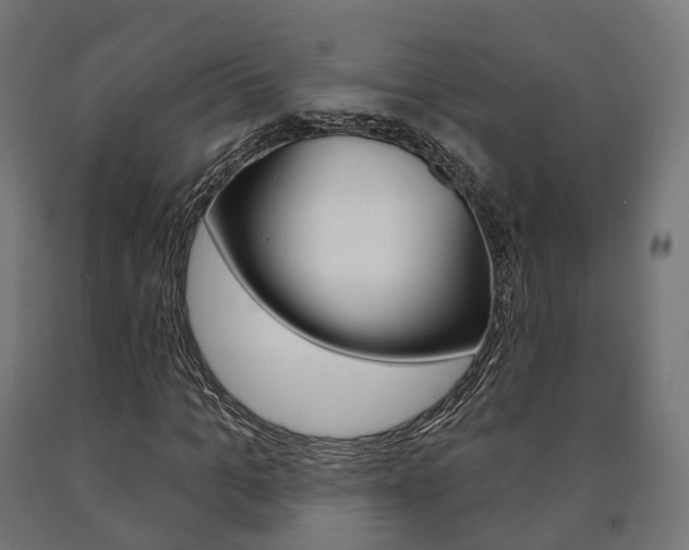X0000091000965200708021221