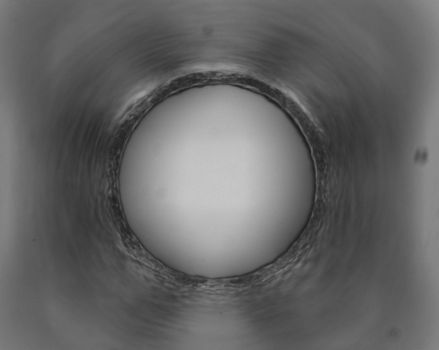 X0000091000967200708021221