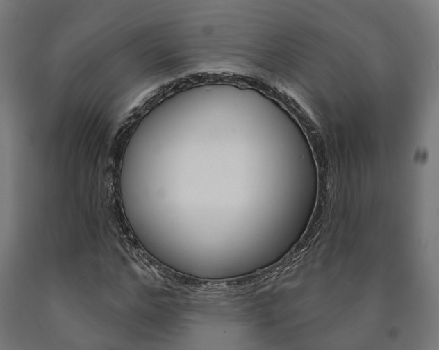 X0000091000968200708021221