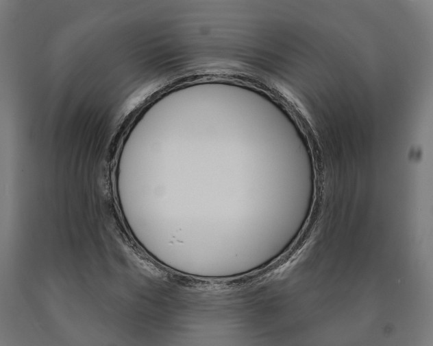 X0000091000970200708021221