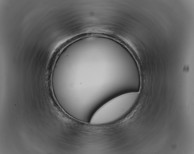 X0000091000971200708021221