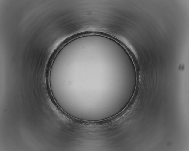 X0000091000972200708021221