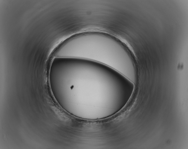 X0000091000973200708021221
