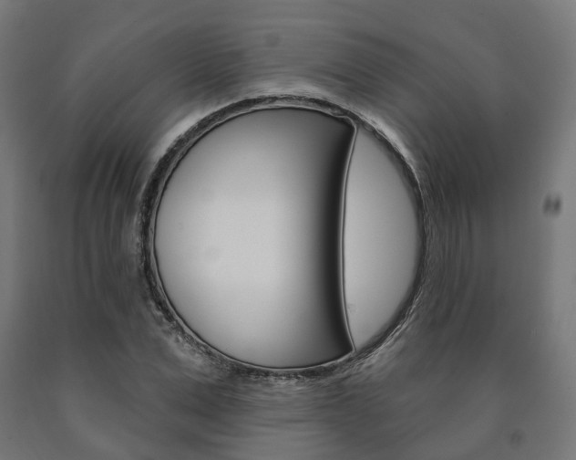 X0000091000975200708021221