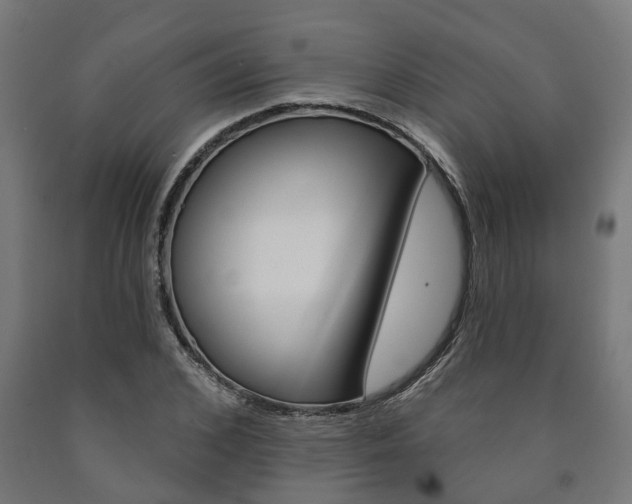 X0000091000976200708021221