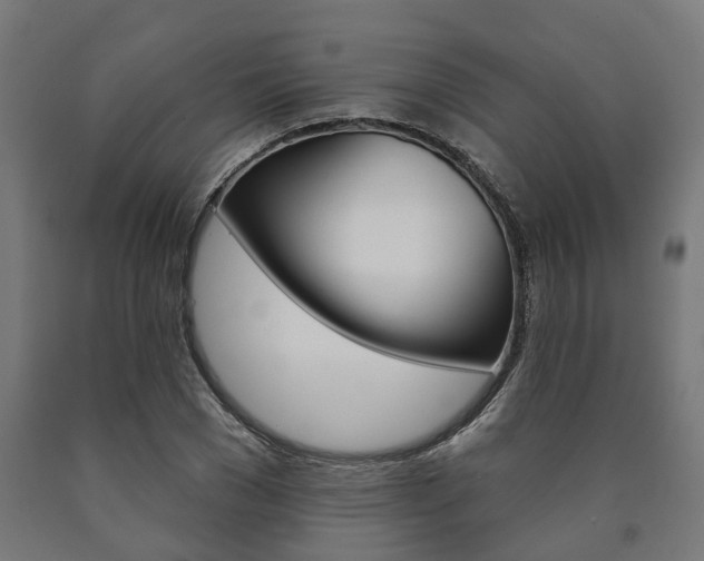 X0000091000977200708021221