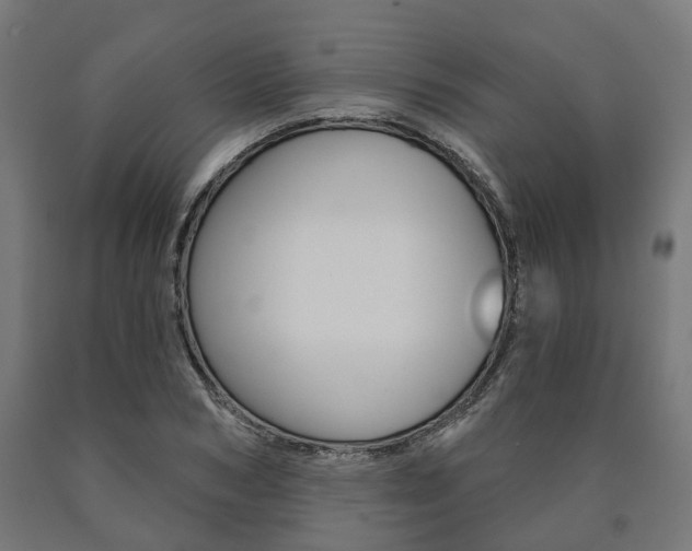 X0000091000978200708021221