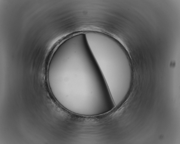 X0000091000979200708021221
