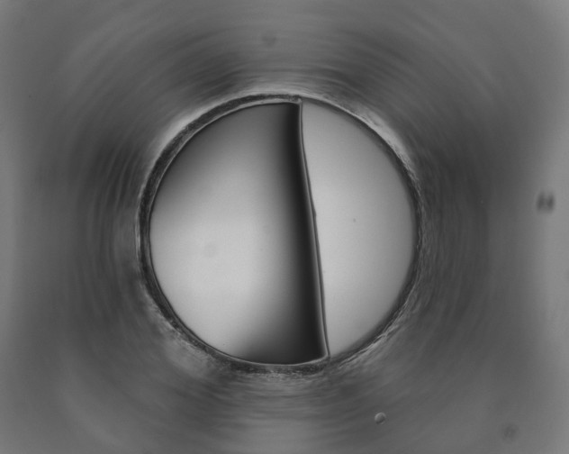 X0000091000980200708021221