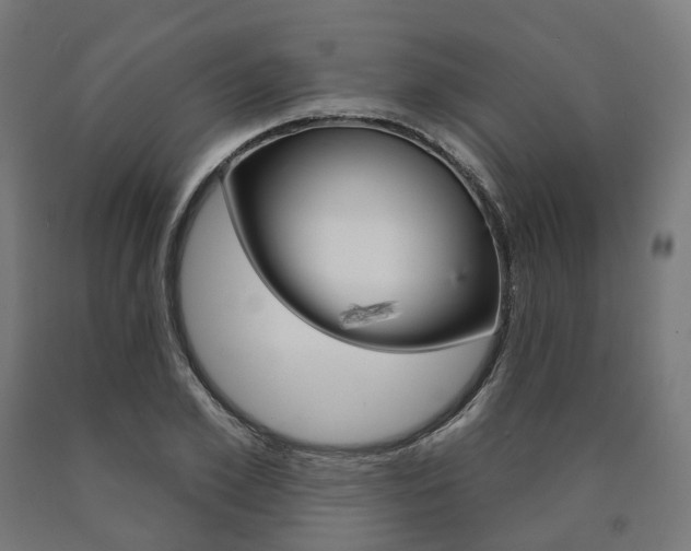 X0000091000981200708021221