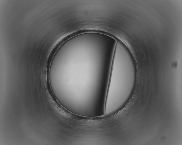X0000091000984200708021221
