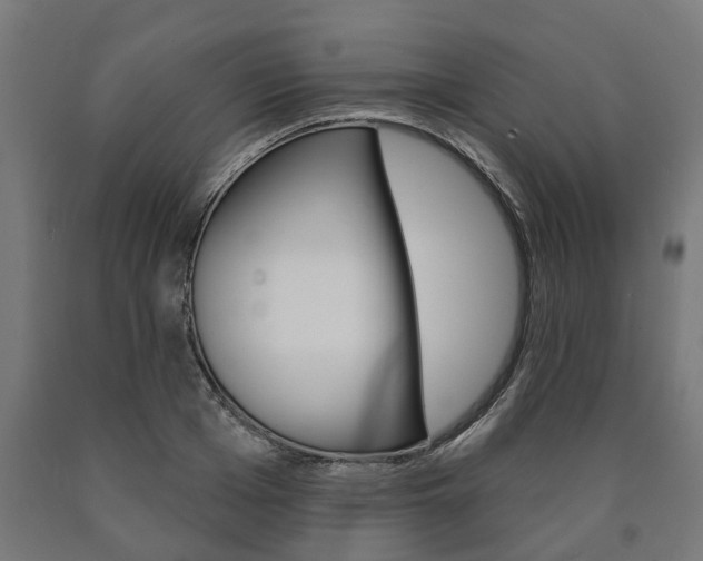 X0000091000985200708021221