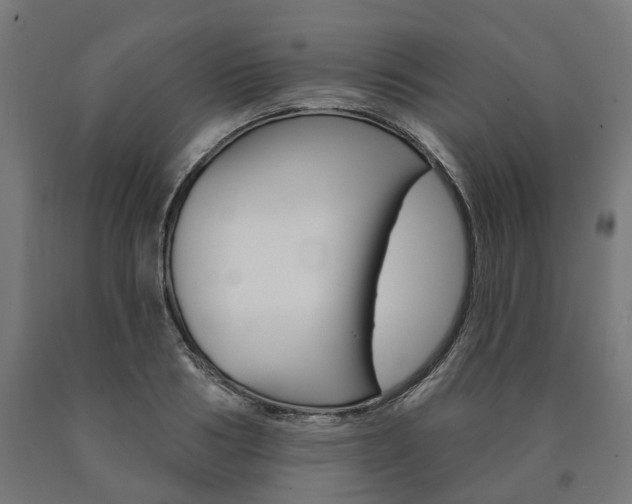 X0000091000986200708021221