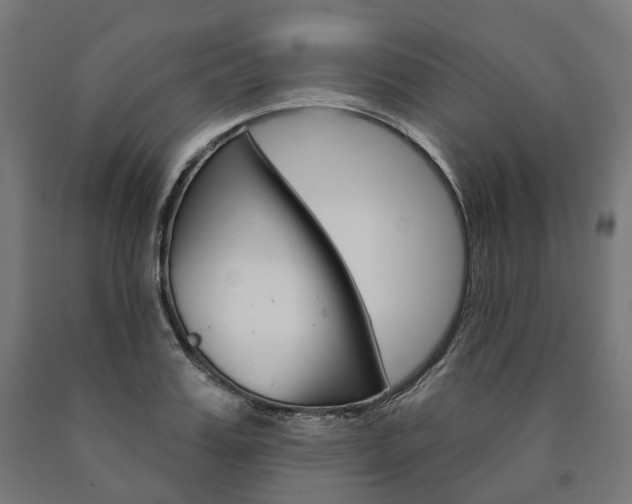 X0000091000987200708021221