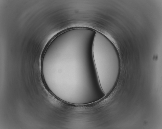 X0000091000988200708021221