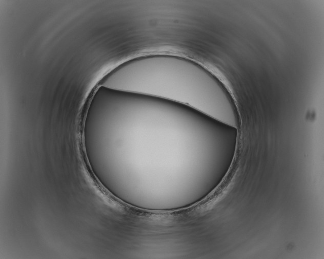 X0000091000989200708021221