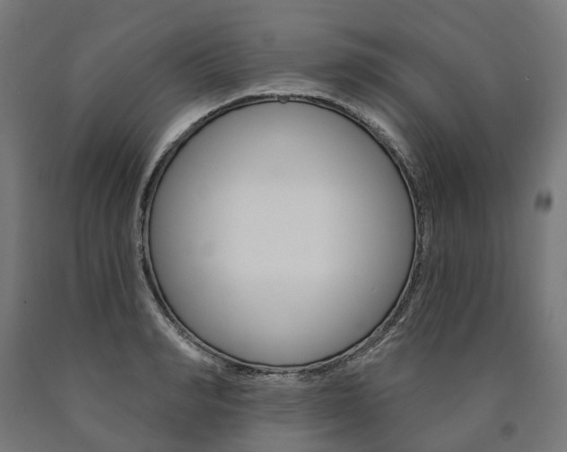 X0000091000990200708021221
