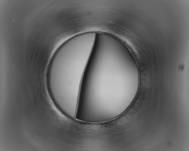 X0000091000991200708021221