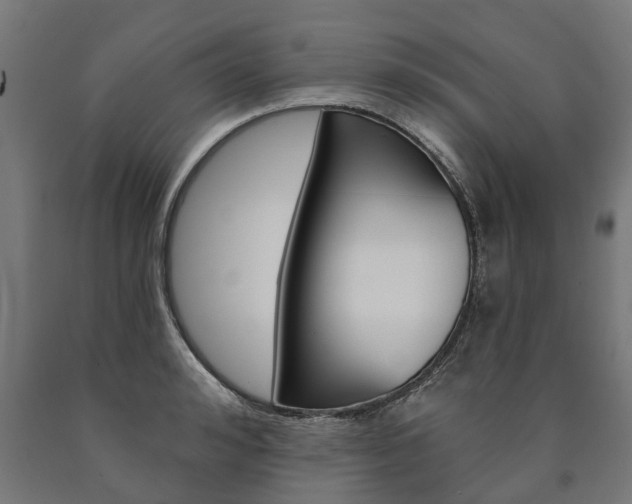 X0000091000992200708021221