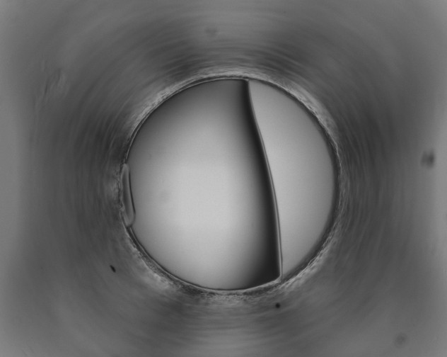 X0000091000993200708021221