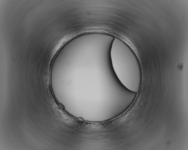 X0000091000994200708021221