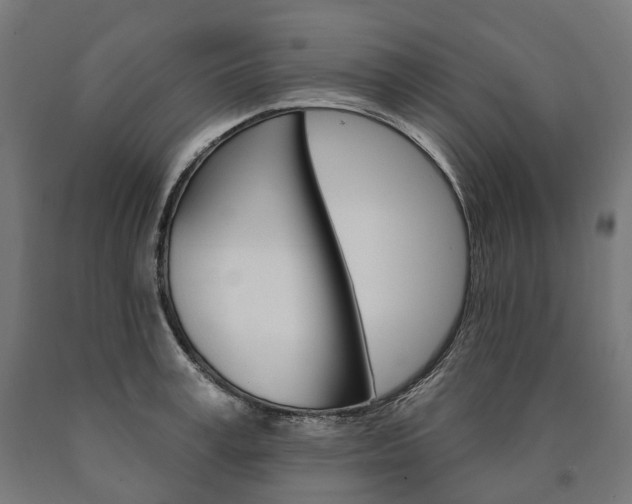 X0000091000995200708021221