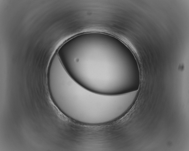 X0000091000996200708021221