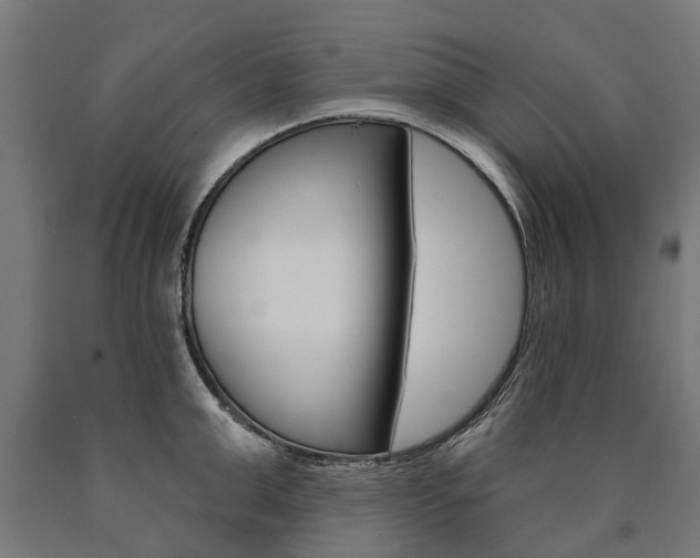 X0000091000999200708021221
