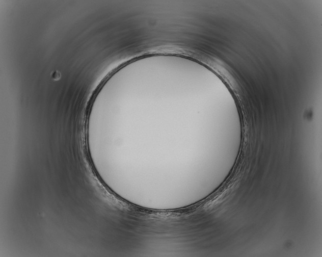 X0000091001000200708021221