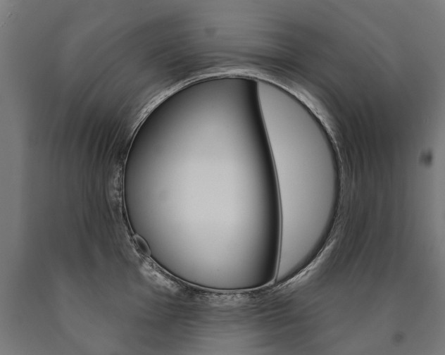 X0000091001001200708021221